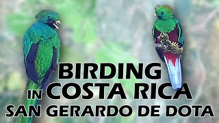 Birding in Costa Rica:  San Gerardo De Dota 2022