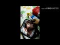 جوله في السوق جوله في السوق