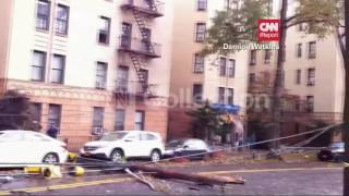NY:SANDY-DOWNED TREES WRECK THE BRONX (WHOAH!)