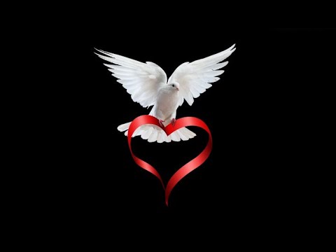 მხოლოდ შენ