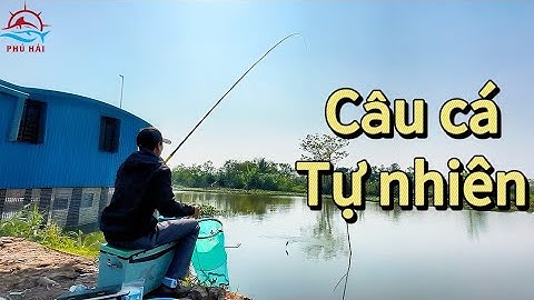 Câu cá tự nhiên  Trải nghiệm điểm câu trạm bơm trên sông Họng | Phú Hải Fishing