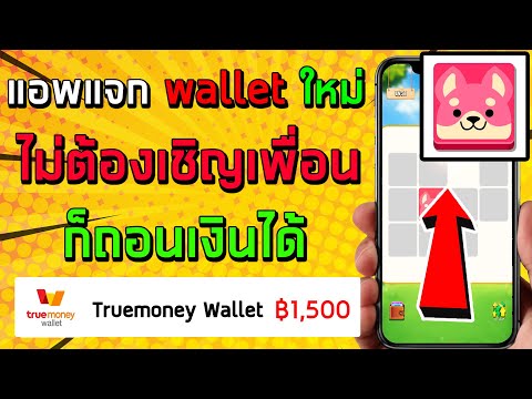 วิธีหาเงินเข้า wallet หาเงินเข้า wallet ฟรี 2022เร็วง่ายๆ แอพหาเงินฟรีใหม่ล่าสุด Puppy One Line