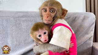 YiYi loves baby monkey so much