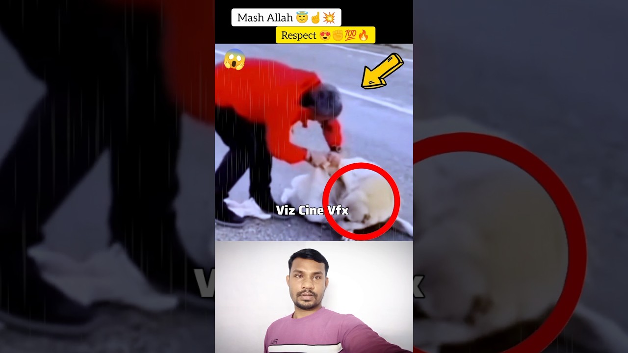 mash Allah 😇☝️ respect 😍#allah #shortvideo #respect #vizcinevfx #viral