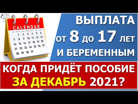 ПФР проинформировал, когда перечислят пособие от 8 до 17 лет и беременным - в декабре или в январе.