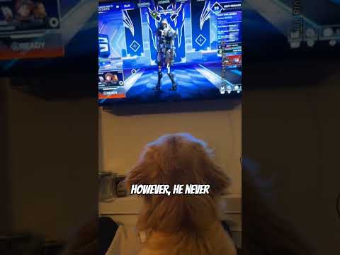 His dogs funny