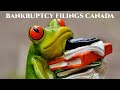 Bankruptcy Filings Canada  The Senseless Top 12 Mistakes To Avoid When Filing Bankruptcy