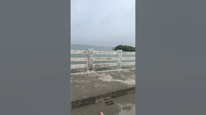 Baaghi 4: Akeli Laila (Song)| Tiger S, Sonam B, Sanjay D |Payal, Aditya, Paradox |Sajid N,A. Harsha