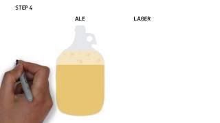 How is beer made?