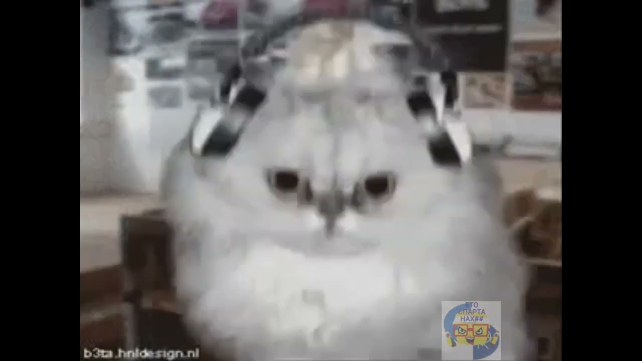 Preview 1280 Numa Numa cats