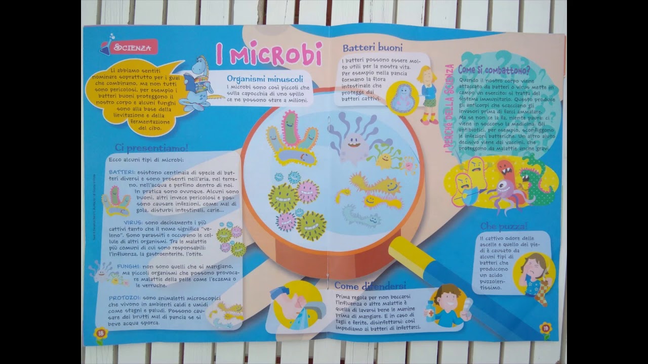Spiegazione Sui Microbi Youtube