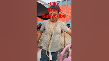 Thumbnail of 🙏Please subscribe 🙏/#snakebite  #shorts #youtubeshorts #shortsfeed #snakesaverjpyadav