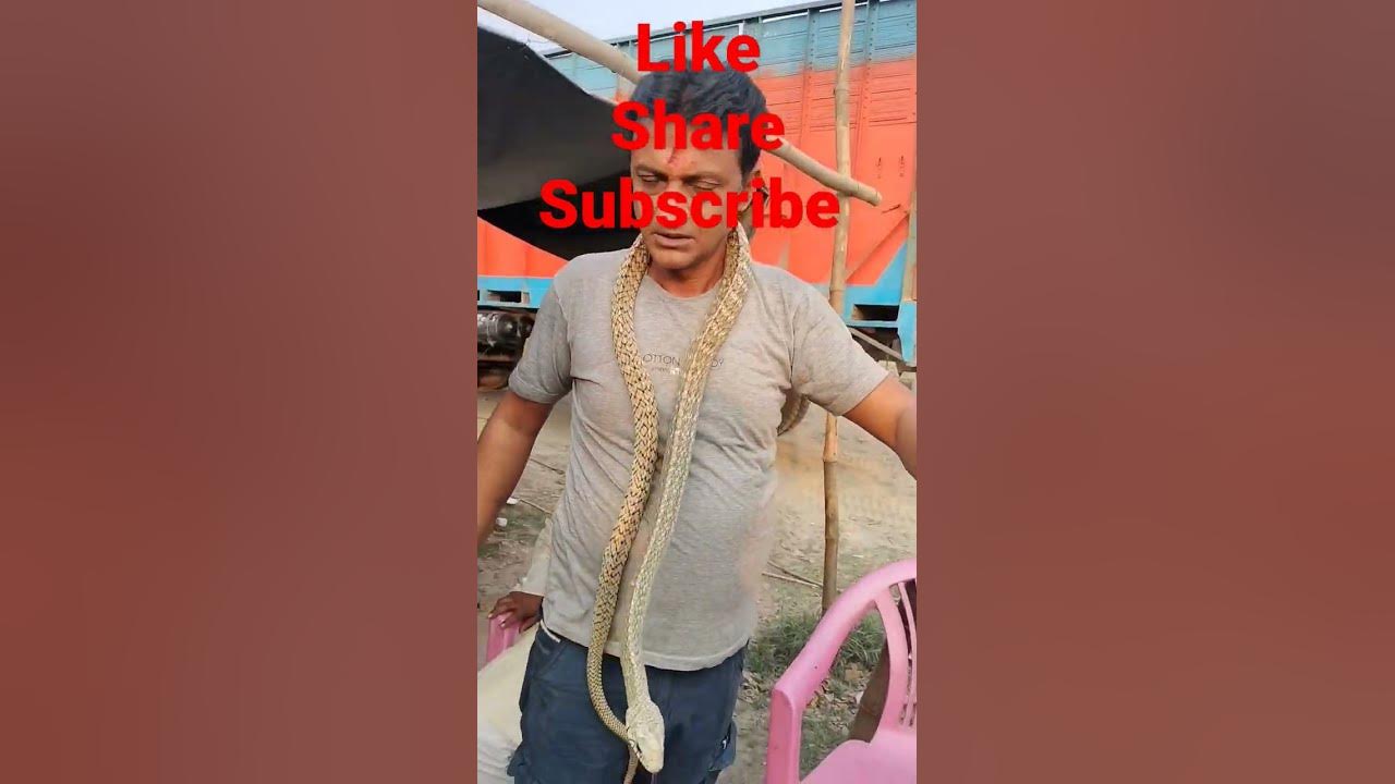 🙏Please subscribe 🙏/#snakebite  #shorts #youtubeshorts #shortsfeed #snakesaverjpyadav