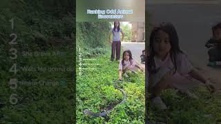 Ranking Odd Animal Encounters #fyp #viralvideo #viralshort