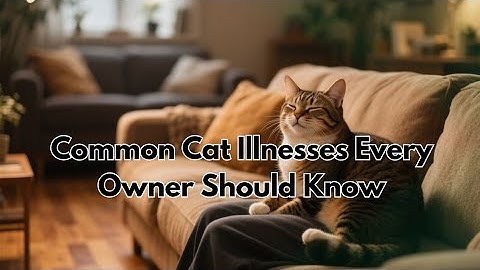 Common Cat Illnesses Every Owner Should Know – Signs, Causes, and Prevention
