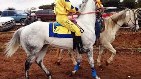 EL CARDENAL OMAR EL ALACRAN VALENZUELA CORRIDOS 20...