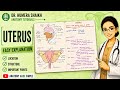 Uterus anatomy| simplified| hand written exam notes| abdomen and pelvis anatomy|