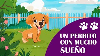 Un Perrito Con Mucho Sueño - Cuentos Infantiles Cortos