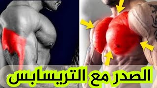 تمارين عضلة الصدر مع الترايسبس للتضخيم (للمبتدئين)