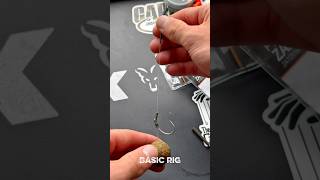 Basic rig tutorial