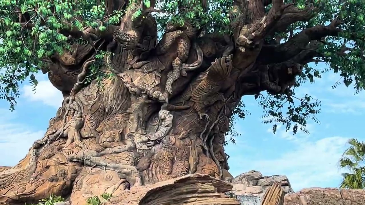 15 de febrero de 2026