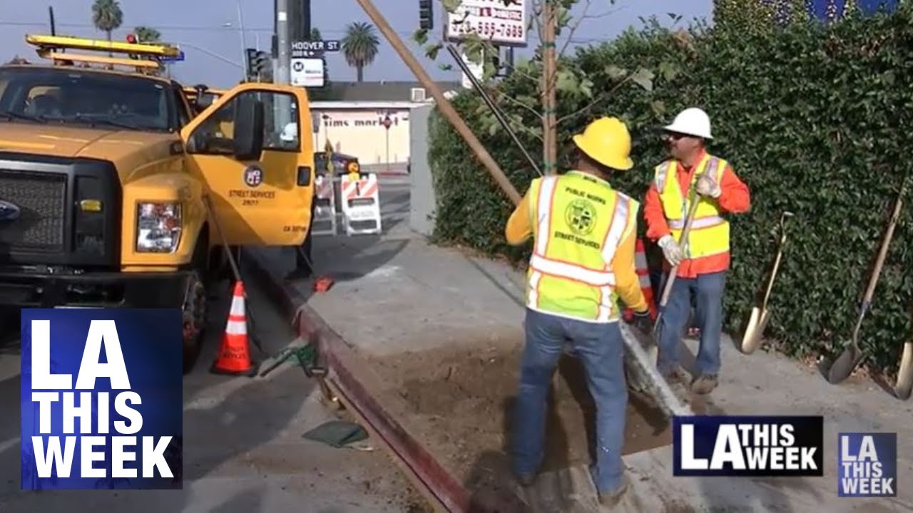 Tree Planting in Council District 13