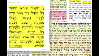 דף יומי מסכת מגילה דף כג Daf yomi Megillah daf 23 Shmuel Navon
