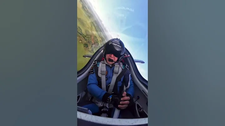 #Peregrinefalcon #falcons #birdsofprey #wildlifevideo #fox #shortsfeed #shortsviral #trending