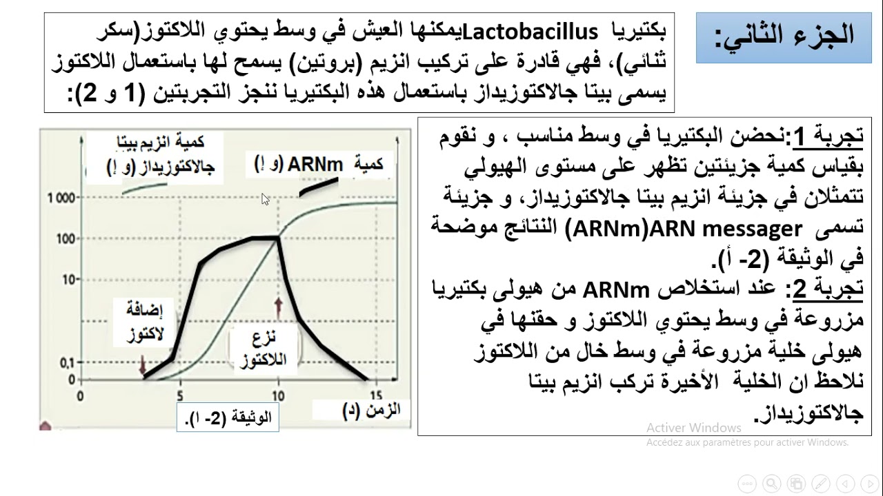 الجزء الثالث من حل تمرين الاسيتابولاريا