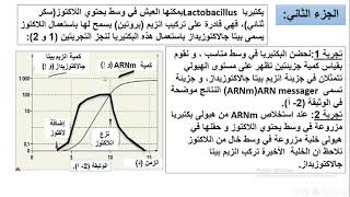 الجزء الثالث من حل تمرين الاسيتابولاريا