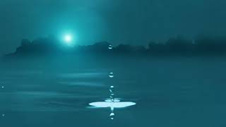 Lunar Lullaby: Midnight Reflections on a Tranquil Night