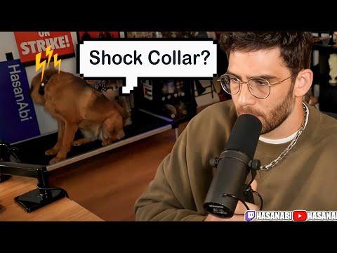 Hasan Accused of using a Shock Collar on his Dog | Streamers React