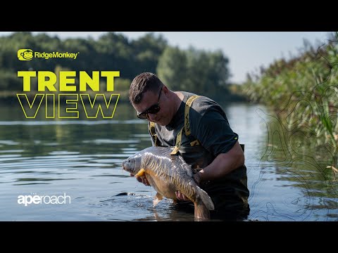 Huge Hit Of Scaly Carp! | The Final APEroach | Carp Fishing