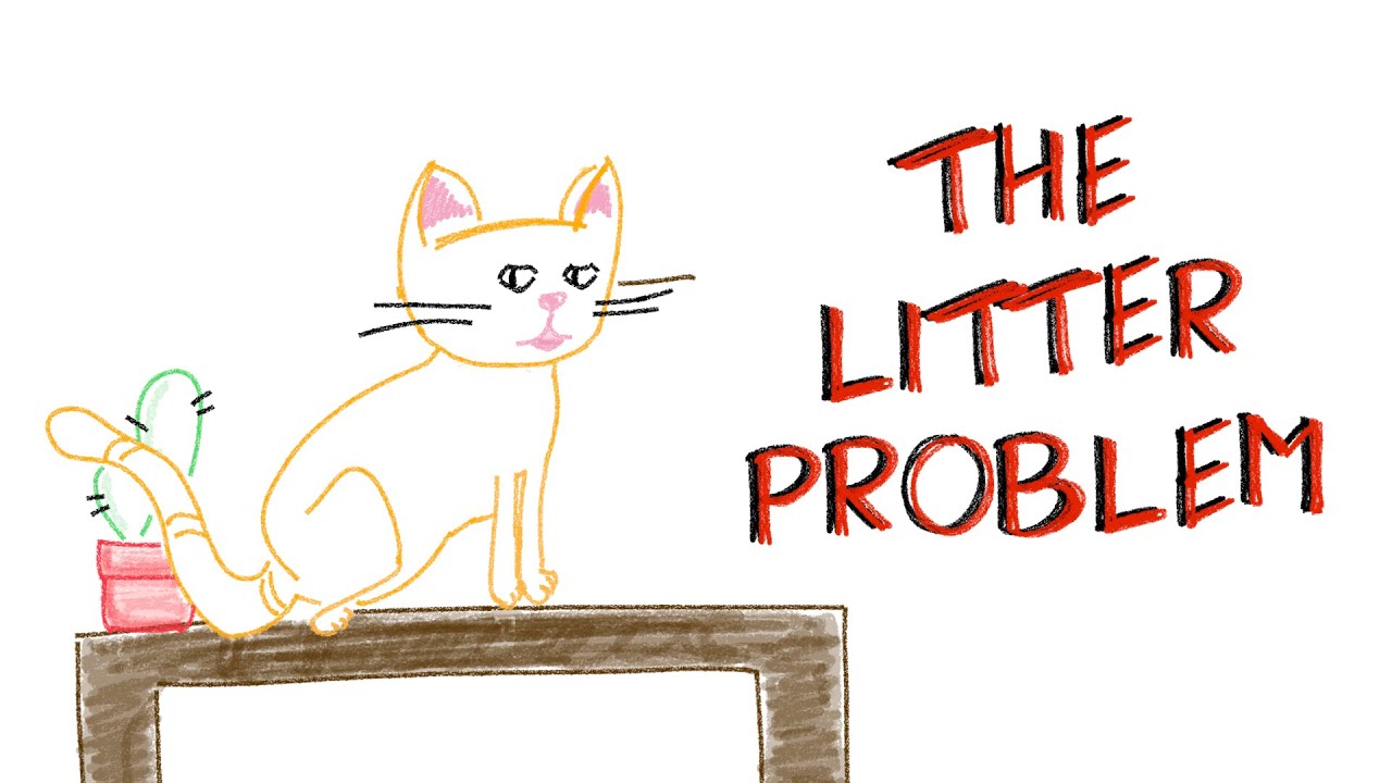 THE LITTER PROBLEM 💩