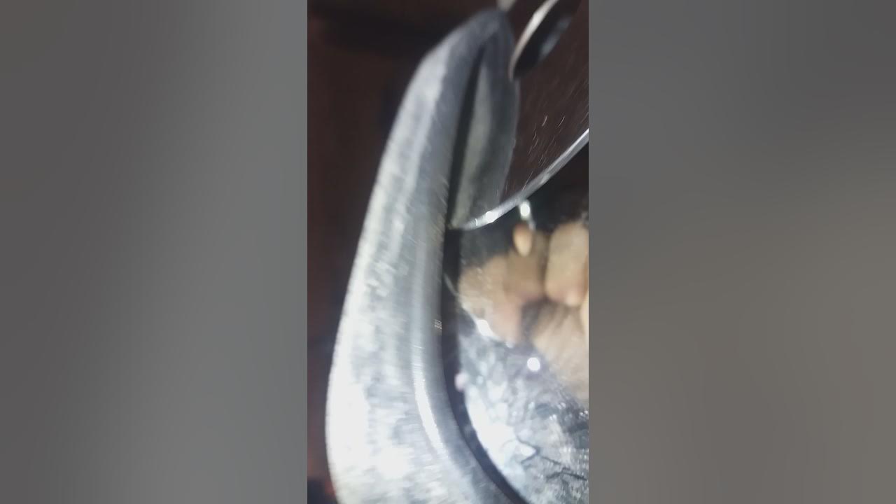 Как снять зеркало заднего вида даф 105 ЗАМЕНА ЗЕРКАЛА ЗАДНЕГО ВИДА И СНЯТИЕ КРЫШКИ НЕ ПОВРЕДИВ ЕЕ НА ДАФ 105 И ЕМУ ПОДО