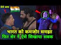 Indian Lion Mahabali Shera Playing Mind Games with Jessie Godderz !