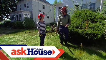 How to Remove Overgrown Foundation Shrubs | Ask This Old House