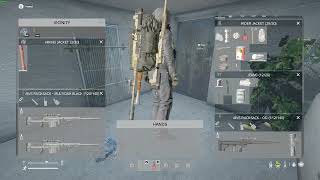 DayZ | collateral damage
