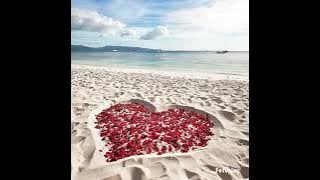 THE SHUFFES: CHA  LA LA I NEED  YOU