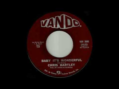 Chris Bartley Baby It's Wonderful