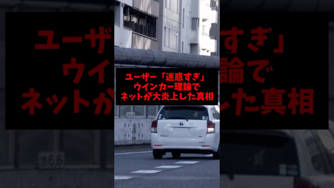 ユーザー「迷惑すぎ」ウインカー理論でネットが大炎上した真相 #ゴシップ #雑学 #事故 #ウインカー #車