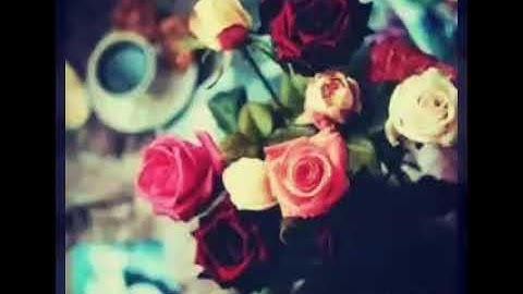 أرح قلبك بهذة التلاوة 😍😘