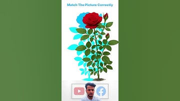 Match the Rose Flower with Their Shadows Challenge | Test Your Observation Skills Now #short #shorts