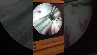 Fabio Sant Anna De Moraes-26