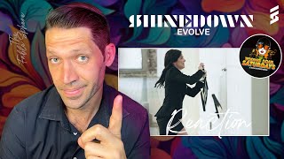 YIP, YIP YIP... Shinedown - Evolve (Reaction) (YSS Series)