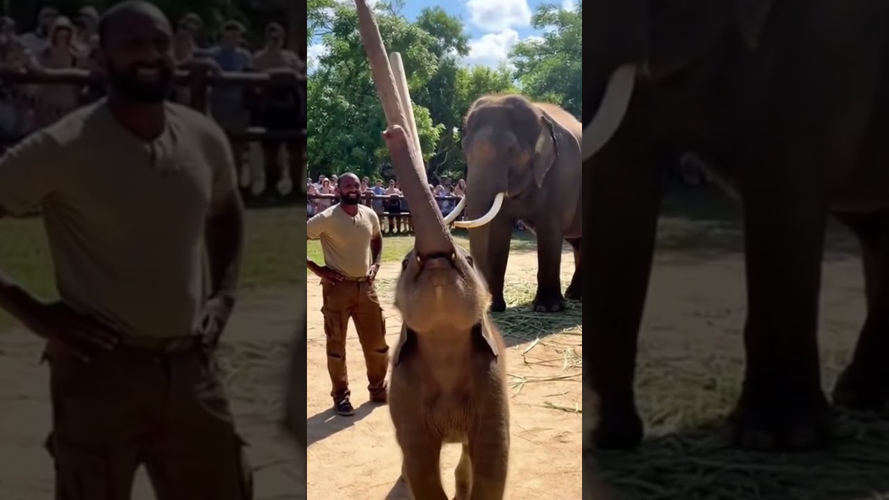 Balancing the Stick | Giữ Thăng Bằng Gậy