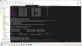 opflow_poc2