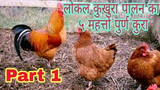 व्यावसायीक लोकल कुखुरा पालन कसरी सुरु गर्ने? भाग १||How to start local poultry farming?Part 1