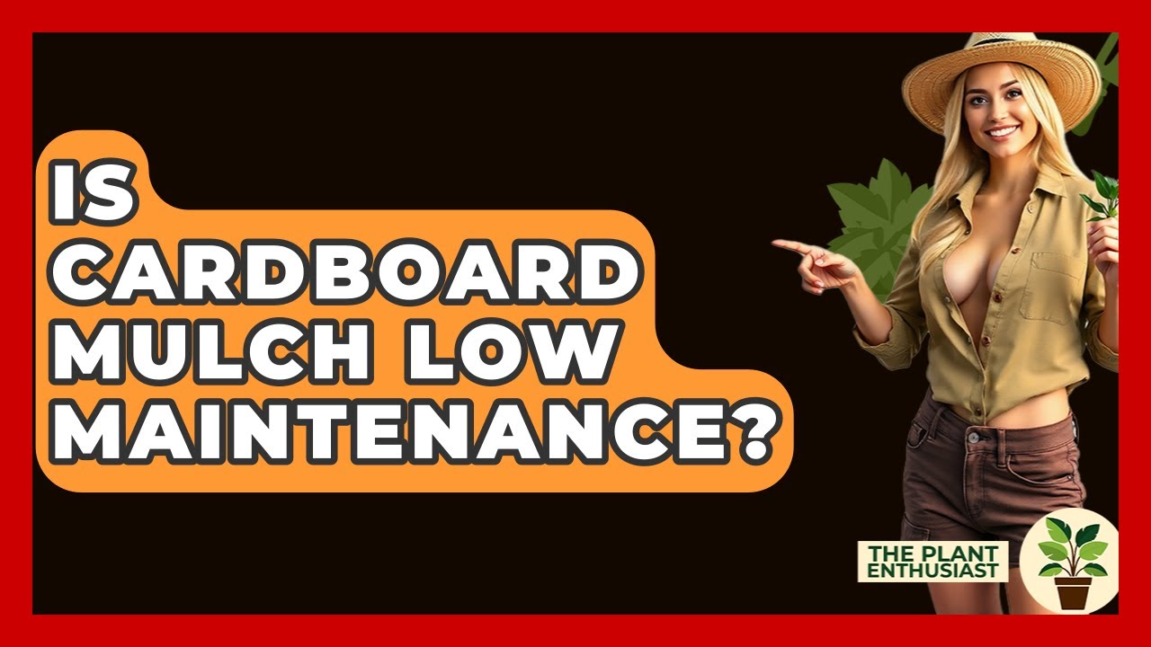 Is Cardboard Mulch Low Maintenance? - The Plant Enthusiast