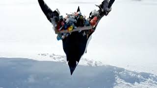 Penguin Tries to Fly! 🐧 Hilarious Homemade Wings Fail!